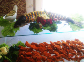 meniu-kaimo-turizmas-2