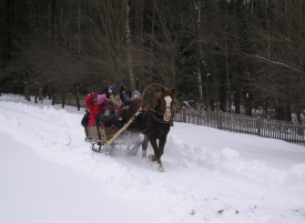 kaimo-turizmo-sodyba-arkliukas